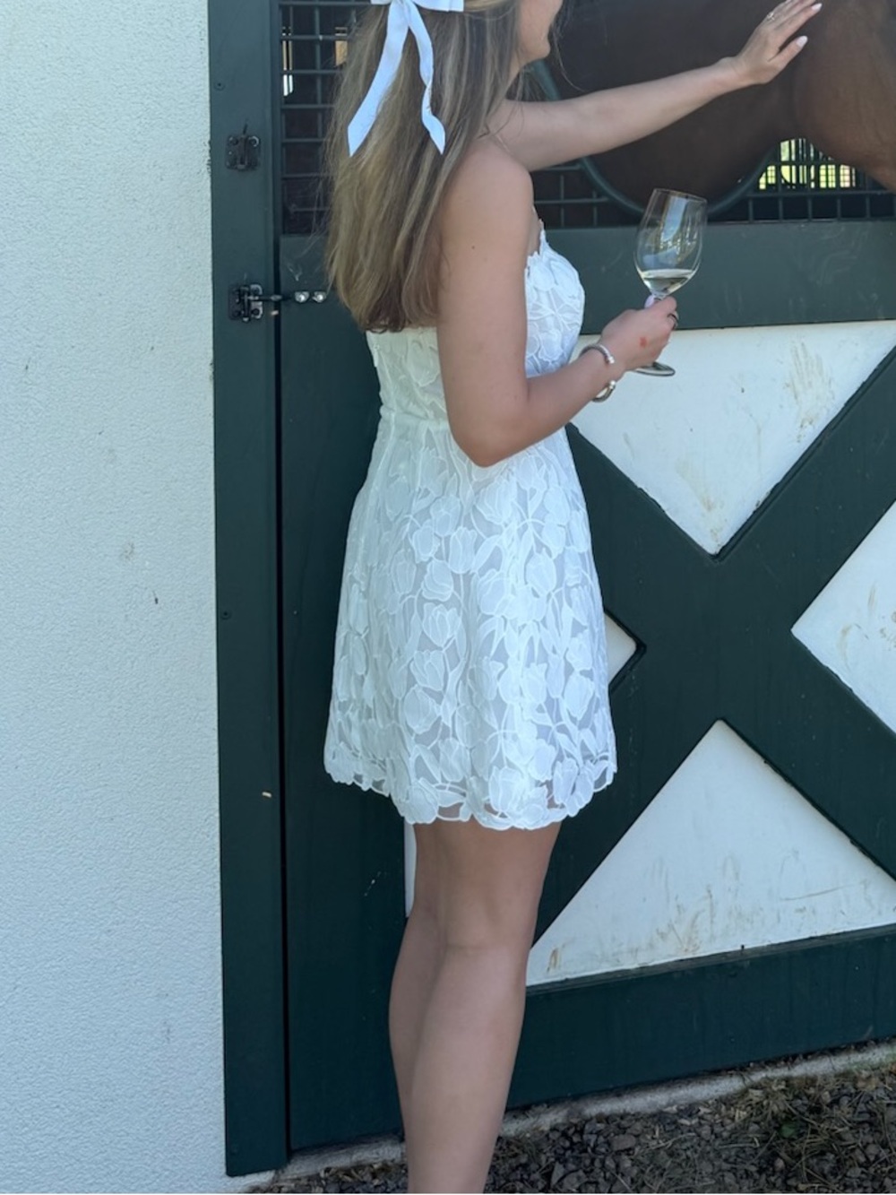 Jenny Yoo Amanda Mini Lace Dress 4 - Picture 4 of 4
